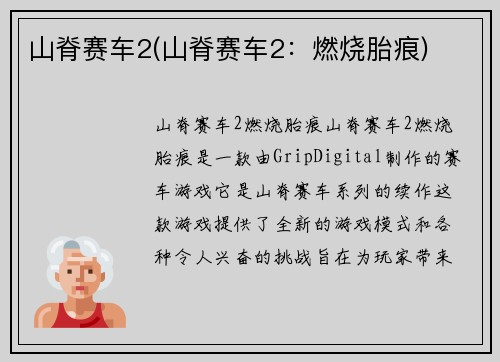 山脊赛车2(山脊赛车2：燃烧胎痕)